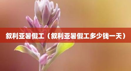叙利亚暑假工（叙利亚暑假工多少钱一天）