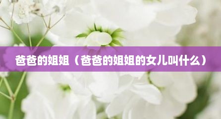 爸爸的姐姐（爸爸的姐姐的女儿叫什么）