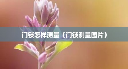 门锁怎样测量（门锁测量图片）
