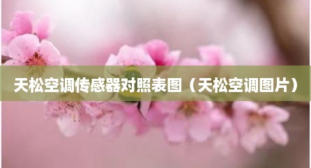天松空调传感器对照表图（天松空调图片）