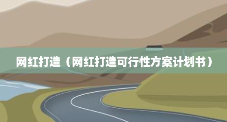 网红打造（网红打造可行性方案计划书）