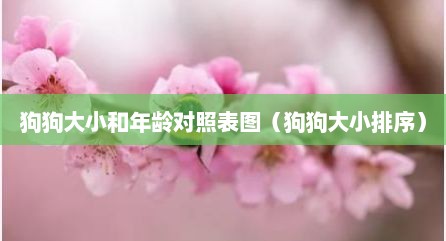 狗狗大小和年龄对照表图（狗狗大小排序）