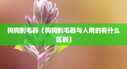 狗狗剃毛器（狗狗剃毛器与人用的有什么区别）