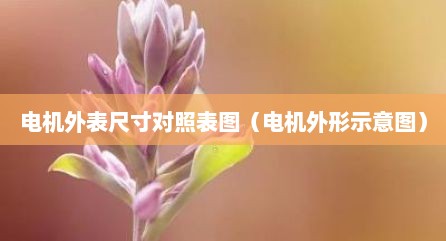 电机外表尺寸对照表图（电机外形示意图）