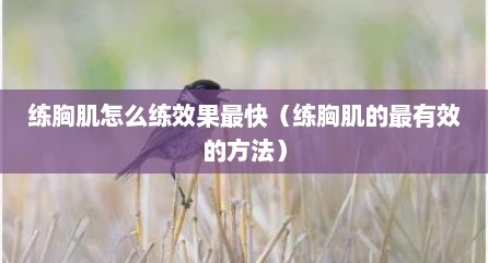 练胸肌怎么练效果最快（练胸肌的最有效的方法）