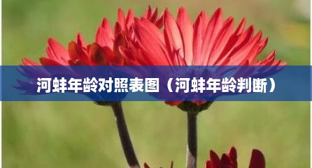 河蚌年龄对照表图（河蚌年龄判断）