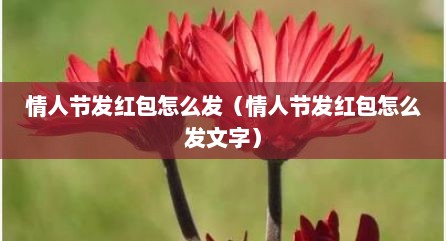 情人节发红包怎么发（情人节发红包怎么发文字）