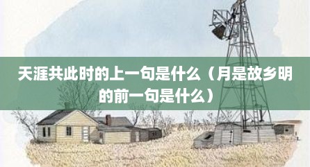 天涯共此时的上一句是什么（月是故乡明的前一句是什么）