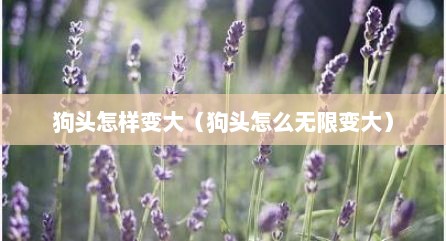 狗头怎样变大（狗头怎么无限变大）