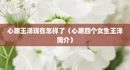 心愿王泽现在怎样了（心愿四个女生王泽简介）