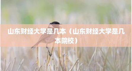 山东财经大学是几本（山东财经大学是几本院校）