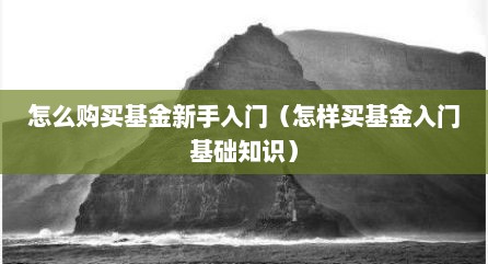 怎么购买基金新手入门（怎样买基金入门基础知识）