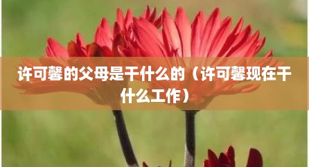许可馨的父母是干什么的（许可馨现在干什么工作）