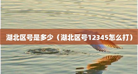 湖北区号是多少（湖北区号12345怎么打）