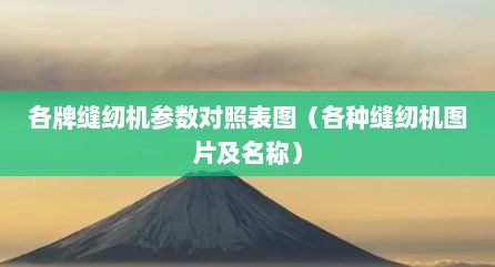各牌缝纫机参数对照表图（各种缝纫机图片及名称）