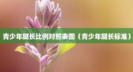 青少年腿长比例对照表图（青少年腿长标准）