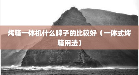 烤箱一体机什么牌子的比较好（一体式烤箱用法）