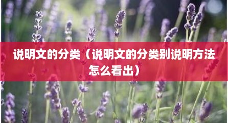 说明文的分类（说明文的分类别说明方法怎么看出）