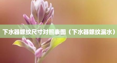 下水器螺纹尺寸对照表图（下水器螺纹漏水）