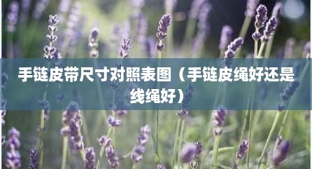 手链皮带尺寸对照表图（手链皮绳好还是线绳好）