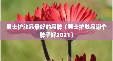 男士护肤品最好的品牌（男士护肤品哪个牌子好2021）