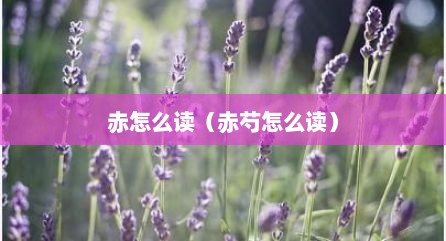 赤怎么读（赤芍怎么读）