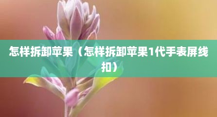 怎样拆卸苹果（怎样拆卸苹果1代手表屏线扣）