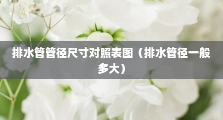 排水管管径尺寸对照表图（排水管径一般多大）