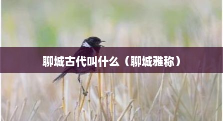 聊城古代叫什么（聊城雅称）
