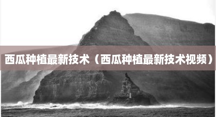 西瓜种植最新技术（西瓜种植最新技术视频）