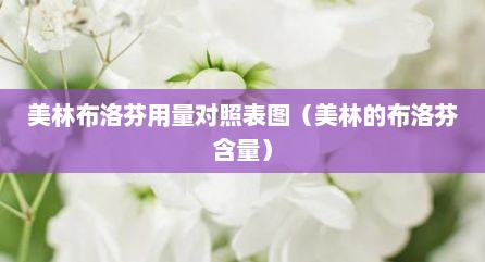 美林布洛芬用量对照表图（美林的布洛芬含量）