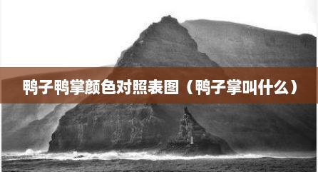 鸭子鸭掌颜色对照表图（鸭子掌叫什么）