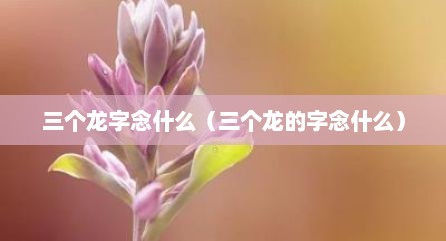 三个龙字念什么（三个龙的字念什么）