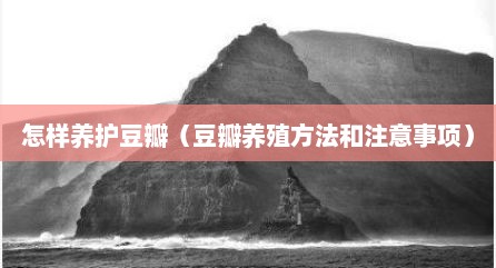 怎样养护豆瓣（豆瓣养殖方法和注意事项）