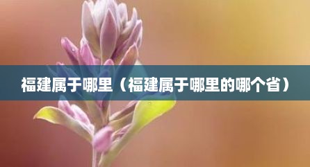 福建属于哪里（福建属于哪里的哪个省）