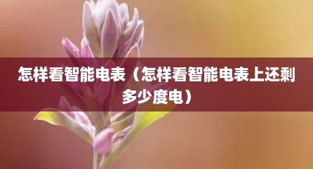 怎样看智能电表（怎样看智能电表上还剩多少度电）