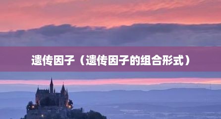 遗传因子（遗传因子的组合形式）