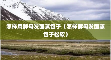 怎样用酵母发面蒸包子（怎样酵母发面蒸包子松软）