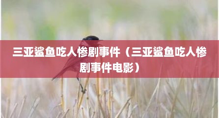 三亚鲨鱼吃人惨剧事件（三亚鲨鱼吃人惨剧事件电影）