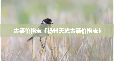 古筝价格表（扬州天艺古筝价格表）