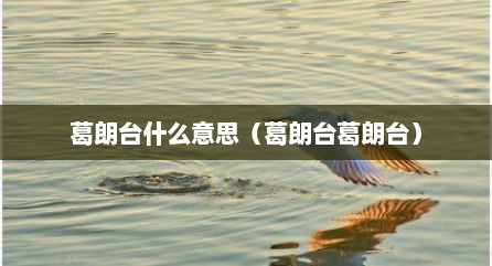 葛朗台什么意思（葛朗台葛朗台）