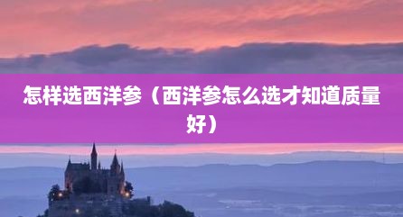怎样选西洋参（西洋参怎么选才知道质量好）