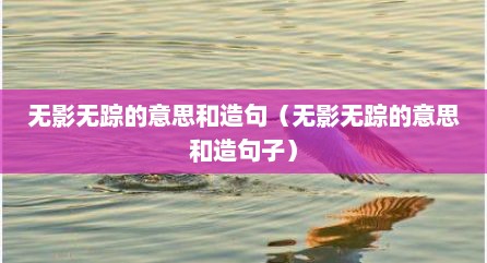 无影无踪的意思和造句（无影无踪的意思和造句子）