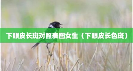 下眼皮长斑对照表图女生（下眼皮长色斑）