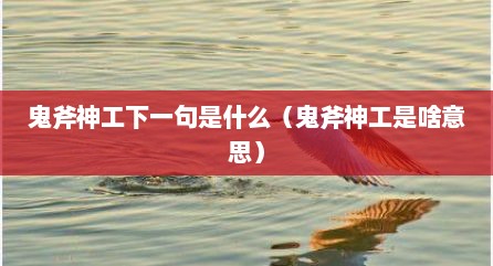 鬼斧神工下一句是什么（鬼斧神工是啥意思）