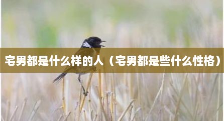 宅男都是什么样的人（宅男都是些什么性格）