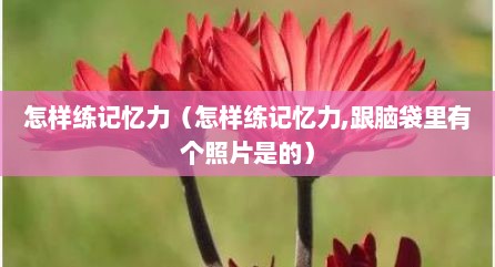 怎样练记忆力（怎样练记忆力,跟脑袋里有个照片是的）