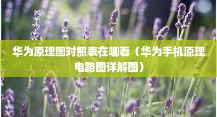 华为原理图对照表在哪看（华为手机原理电路图详解图）