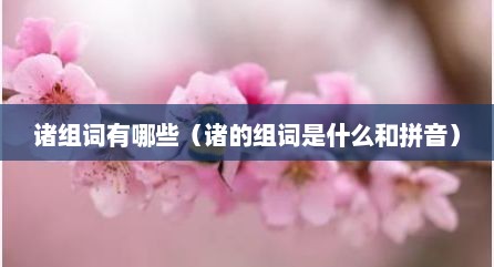 诸组词有哪些（诸的组词是什么和拼音）