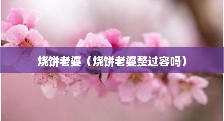 烧饼老婆（烧饼老婆整过容吗）